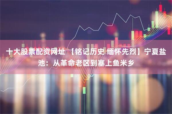 十大股票配资网址 【铭记历史 缅怀先烈】宁夏盐池：从革命老区到塞上鱼米乡